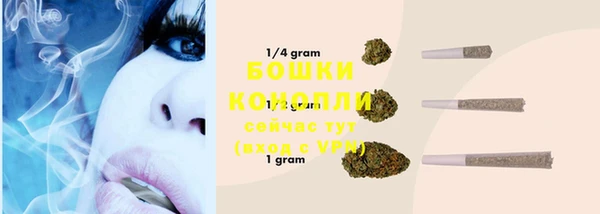 шишки Богданович