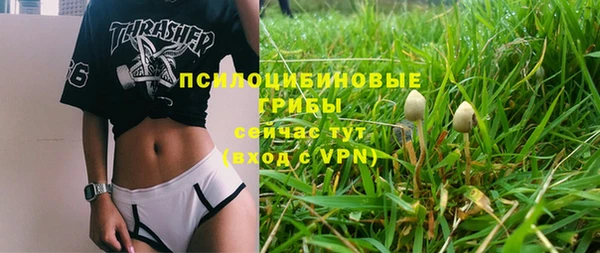шишки Богданович