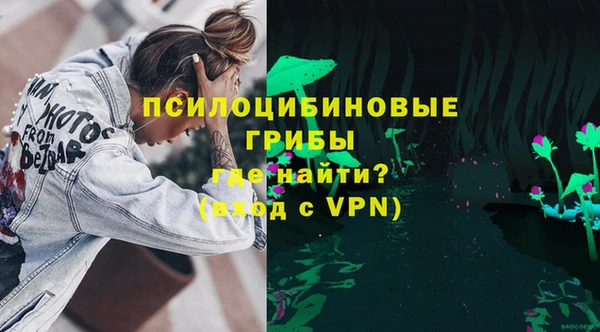 шишки Богданович