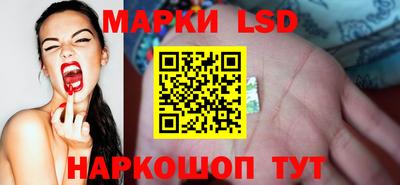 СК Заволжье