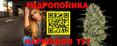 СК Заволжье