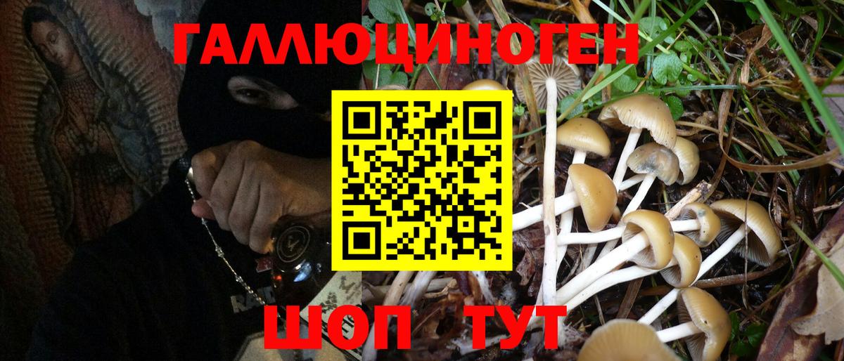 Галлюциногенные грибы мухоморы Сланцы