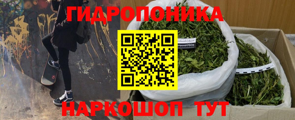 Сланцы  Канабис MAZAR  Каннабис сатива  Каннабис гибрид  Вход с VPN 